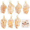 10Pcs Natural Conch Shell Big Pendants FIND-BBC0003-11-1