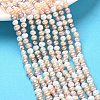 Natural Cultured Freshwater Pearl Beads Strands PEAR-C004-12-1