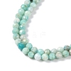 Natural Amazonite Beads Strands X-G-G139-A15-03-4