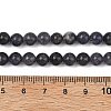 Natural Iolite Beads Strands G-Z148-A01-6mm-5