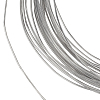 1 Roll 20M Plastic Coated Aluminum Wire OCOR-BC0007-82B-1