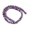 Natural Lepidolite Beads Strands G-U026-A06-8mm-3