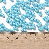 Glass Seed Beads SEED-L011-04A-11-4