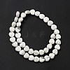 Natural Howlite Beads Strands G-B022-09B-4