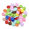 Opaque Acrylic Pendants MACR-C039-02-1