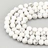 4 Strands Natural Howlite Beads Strands TURQ-OC0001-02B-4