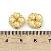 Alloy Resin Rhinestone Beads PALLOY-D369-20MG-02-3