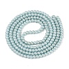 Baking Paint Glass Pearl Beads Strands DGLA-ZX001-05A-14-2