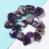 Natural Amethyst Beads Strands G-P528-K09-01-2