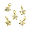 Brass Micro Pave Cubic Zirconia Charms KK-E068-VB248-2