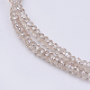 Transparent Glass Beads Strands GLAA-F079-B02-3
