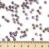 Glass Seed Beads SEED-H002-B-D214-4
