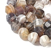 Natural Botswana Agate Beads Strands G-C267-B09-4