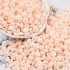 Opaque Colours Luster Glass Seed Beads X1-SEED-P008-01C-14-1