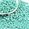 Baking Paint Glass Seed Beads SEED-A032-02C-1
