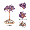 2Pcs 2 Style Money Tree Display Decorations DJEW-FH0001-05-2