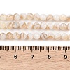 Natural Freshwater Shell Beads Strands SHEL-T011-02-2mm-4