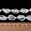 Handmade Lampwork Beads Strands LA-N046-02O-4