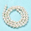 Natural Cultured Freshwater Pearl Beads Strands PEAR-E016-063-3