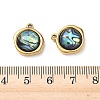 Natural Paua Shell Pendants STAS-G397-01G-02-3