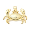 Crab Charms Brass Pendants KK-H529-57A-G-1