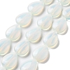 Opalite Beads Strands G-P528-L22-01-1