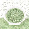Baking Paint Glass Seed Beads SEED-Q041-03A-01-2