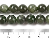 Natural Canada Jade Beads Strands G-NH0001-G01-01-5