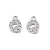 304 Stainless Steel Charms STAS-N095-137Q-1