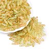 Picasso Transparent Glass Seed Beads SEED-N012-11F-1