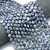 Natural Blue Spot Jasper Beads Strands G-C116-A73-02-1
