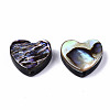 Natural Abalone Shell/Paua Shell Beads SSHEL-T014-16A-2