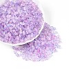Baking Paint Transparent Glass Beads DGLA-T004-06E-3