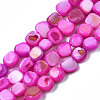 Natural Trochid Shell/Trochus Shell Beads Strands SHEL-S258-083-B07-1