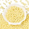 Opaque Baking Paint Glass Seed Beads SEED-T008-02B-2