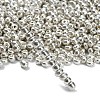 6/0 Glass Seed Beads X-E0690044-4