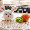 Oval Plastic/Resin Craft Safety Eyes DIY-GL0005-64B-6