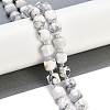 Natural Howlite Beads Strands G-B125-O01-01-2