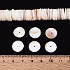 Natural Freshwater Shell Beads Strands SHEL-N037-03B-01-4