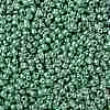 TOHO Round Seed Beads SEED-XTR08-PF0561-2