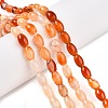 Dyed Natural Agate Beads Strands G-T141-15A-01-2