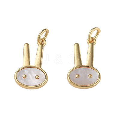 Natural Shell Pendants KK-N233-232-1