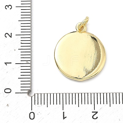 Brass Enamel Pendants KK-H255-05G-03-1