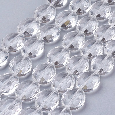 Glass Bead Strands X-GLAA-S003-20x11mm-14-1