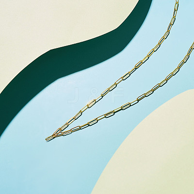 Brass Paperclip Chain Necklaces JN975A-1