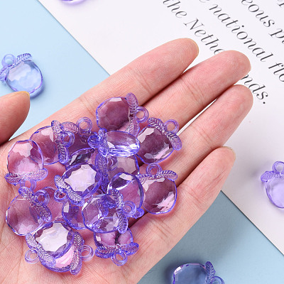 Transparent Acrylic Pendants TACR-S154-28B-47-1