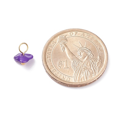 Natural Chip Dyed Shell Charms PALLOY-JF01338-01-1