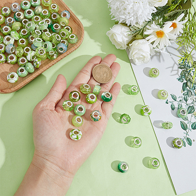 100Pcs 10 Styles Resin European Beads RPDL-SP0001-07-1
