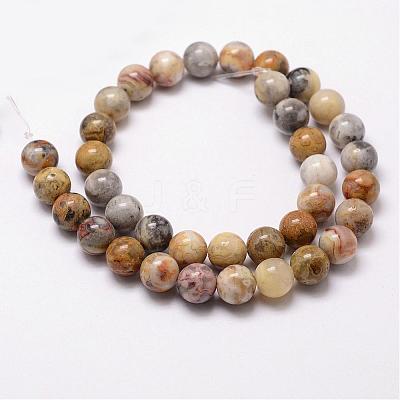 Natural Crazy Lace Agate Beads Strands G-D840-70-6mm-1