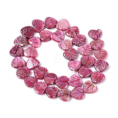 Natural Freshwater Shell Carved Beads Strands SHEL-N038-24-1